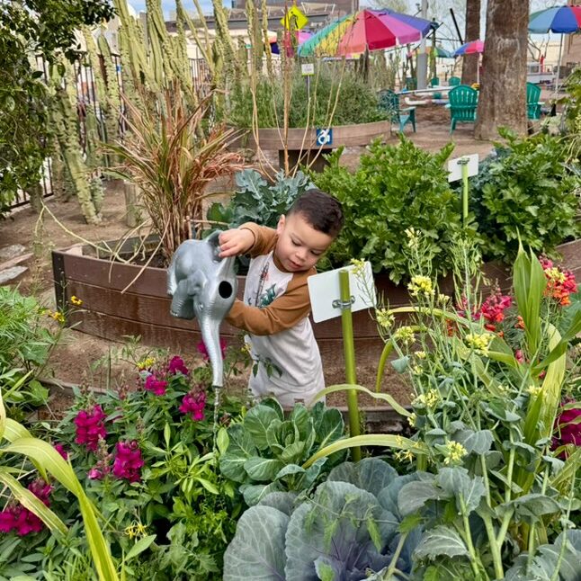 The Children’s Garden