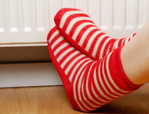 Things to Do in Phoenix With Kids This December: A Month of Hands-On Holiday Fun