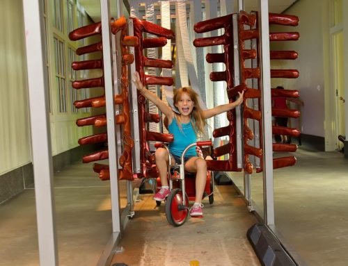 Arizona State Standards at the Children’s Museum: An Exhibit Guide for Teachers